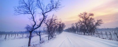 ​小雪节气的天气特点