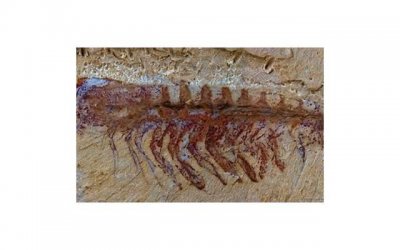 怎么治好性单恋